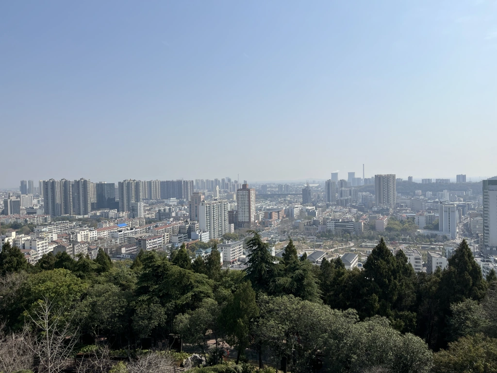 鸟瞰全市