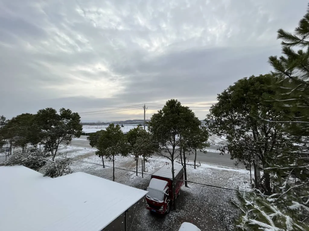 发糕家的雪景